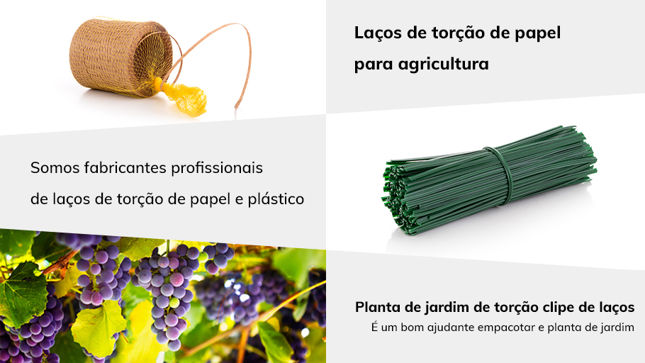 planta_de_jardim_de_torcao_clipe_de_lacos_de_torcao_papel.jpg
